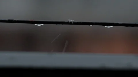 Snow on the wire Stock Footage 127064727