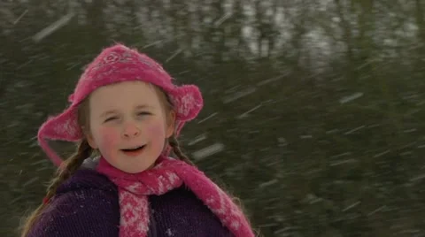 Snow wonder Stock Footage 22666418