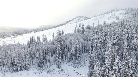 Snow Wonderland Stock Footage 85147451