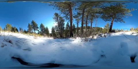 Snow Woods Stock-Footage 106387613
