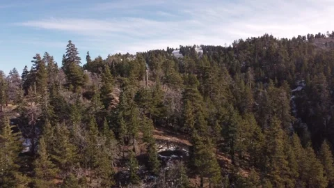 Snow in the woods on a mountain Stock Footage 275611680