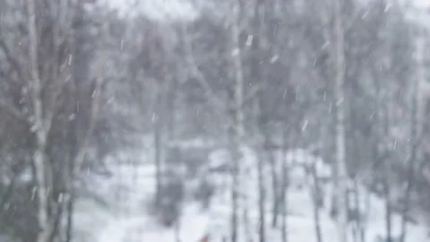 Snow in the yard against the background of tree branches slow mo Stock Footage 146177913