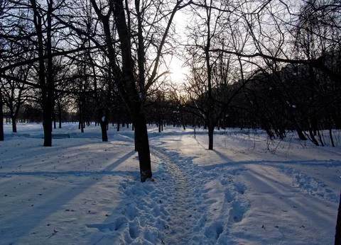 Snow in the yard in the spring in the light of the sun Stock Photos