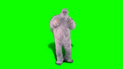 Snow Yeti - Uplifting - Green Screen - 60fps 動画素材 41077875