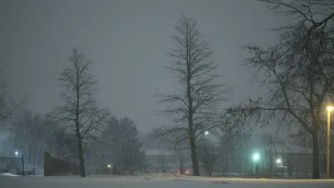 Snow16 Stock Footage 168823497