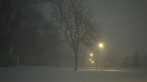 Snow17 Stock Footage 168823841