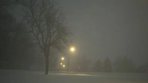 Snow18 Stock-Footage 168823898