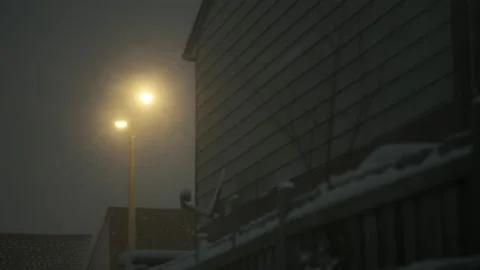 Snow19 Stock Footage 168823867