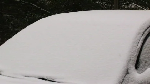 Snow2 Video stock 313578