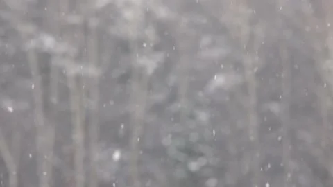 Snow2 Stock Footage 147433051