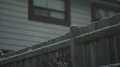 Snow21 Stock Footage 168824426