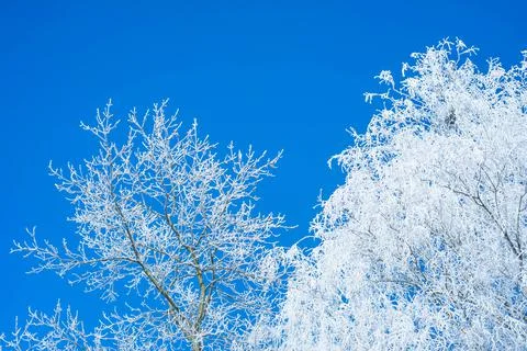  snow3 (48 of 52) Stock Photos