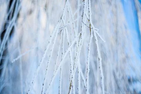  snow3 (8 of 52) Stock Photos