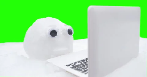 Snowball with eyes using laptop. Winter, Christmas online concept. Green screen Stock Footage 225048860