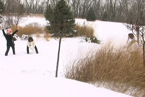 Snowball Fight 動画素材 10708664