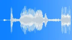 Snowball impact hard 02Sound Effect