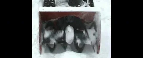 Snowblower man Video stock 306702