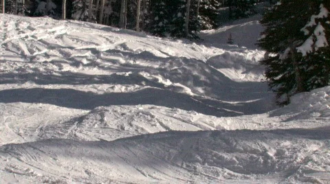 Snowboard around tree P HD Video stock 332377