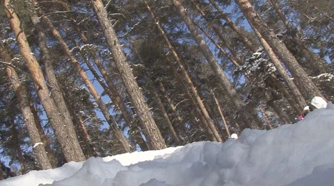 Snowboard Stock Footage 1239808