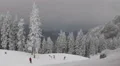 Snowboard Freerider Snowy Mountains Skier Ride Young Teens Extreme Winter Sport HD Footage