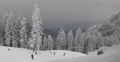 Snowboard Freerider Snowy Mountains Skier Ride Young Teens Extreme Winter Sport 4k or 4k+ Resolution