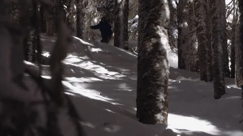 Snowboarder bouncing through powder filled trees Video stock 120053383