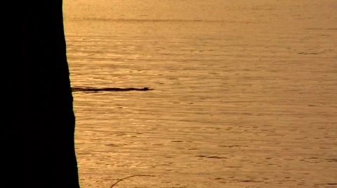 Snowboarder down powder Stock Footage 477777