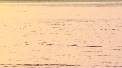 Snowboarder down powder Stock Footage 478946