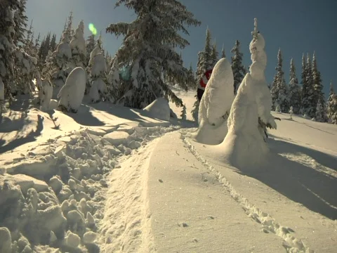 Snowboarder down powder Stock Footage 693773