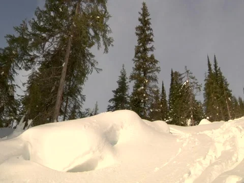 Snowboarder down powder Stock Footage 693805
