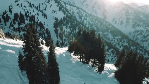 Snowboarder in forest on the mountain Video stock 72174399