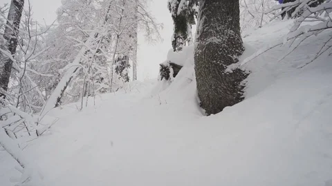 Snowboarder Freerider jump in the forest Stock Footage 77542740