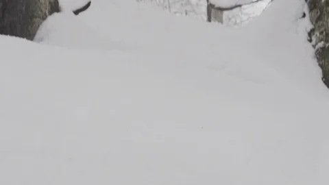Snowboarder Freerider rides in the forest Stock Footage 77540403