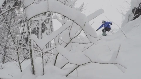Snowboarder Freerider rides in the forest Stock Footage