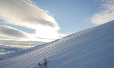 Snowboarder going down the slopes in forests, slopes and ski tracks. Skiing Foto stock