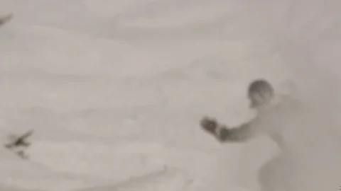 Snowboarder jumping and falling in deep powder Stock Footage 74536531