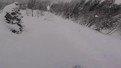 Snowboarder Jumping through tree Stock Footage 75570898