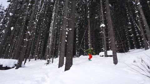 Snowboarder rides between the trees and falls down over on the slope Video stock 122866495