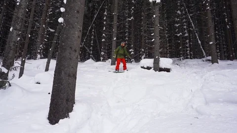 Snowboarder slidind down from the slope between trees Stock Footage 122929898