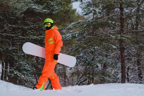 Snowboarder walking through the forest Stock Photos