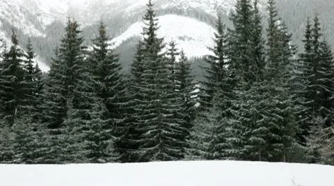 Snowboarders on a piste Stock-Footage 10712633