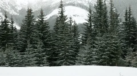Snowboarders on a piste Stock Footage 10712640