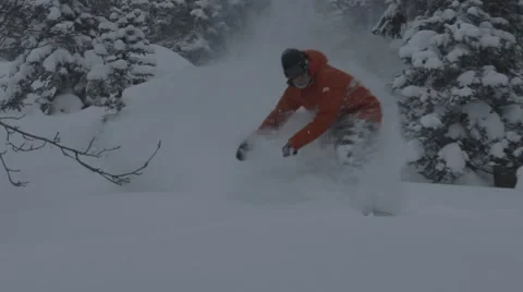Snowboarders rides in forest Stock Footage 45236177