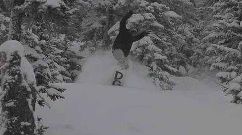 Snowboarders rides in forest Video stock 45236196