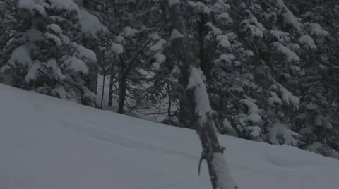 Snowboarders rides in forest Stock Footage 45236217