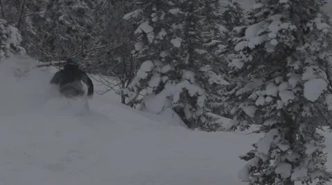 Snowboarders rides in forest Stock Footage 45236232