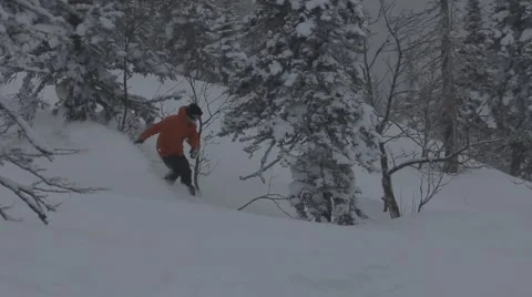 Snowboarders rides in forest Stock Footage 45236238