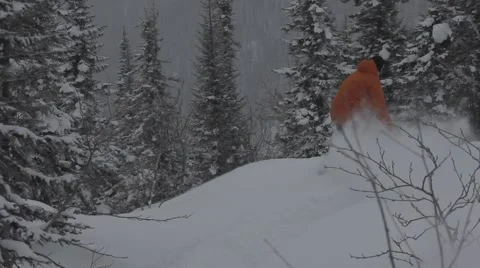 Snowboarders rides in forest Stock Footage 45236301
