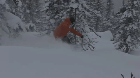 Snowboarders rides in forest Stock Footage 45236318