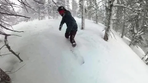 Snowboarding between trees in deep powder snow in Colorado vail mountains Stock Footage 102671364